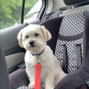 Meet your Posher, Alexandra